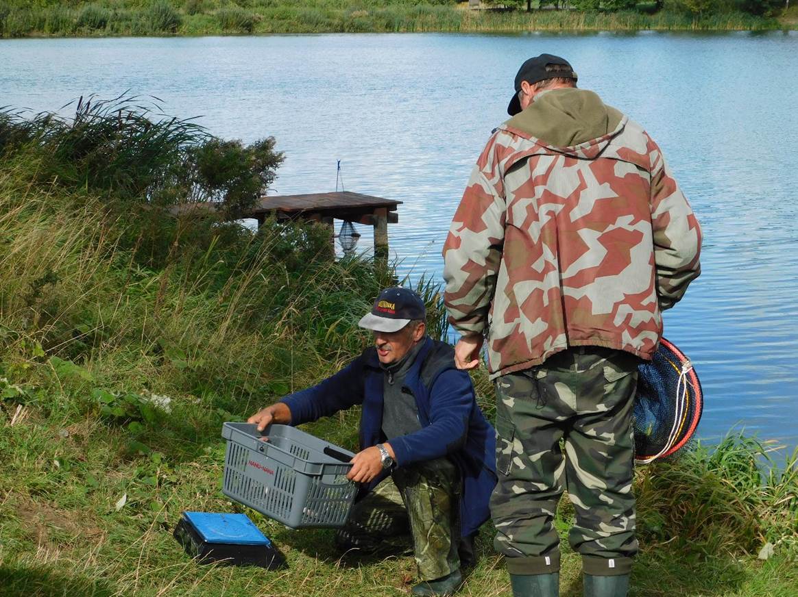 Obraz zawierajcy trawa, woda, zewntrzne, osoba

Opis wygenerowany automatycznie